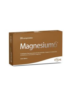 Magnesium 6 20 comprimidos